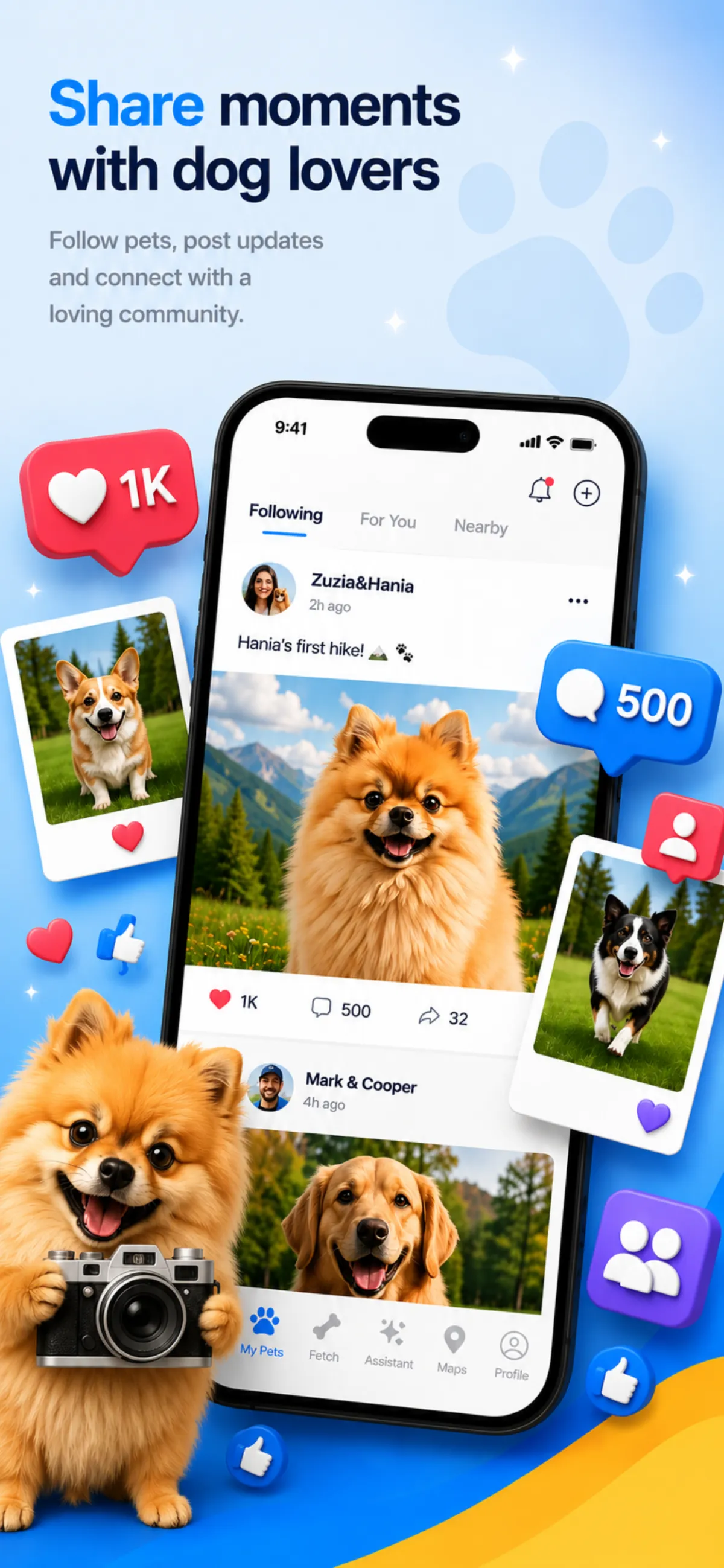 id4.pet community feed sharing photos and stories from dog owners